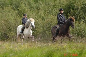Horse riding tour