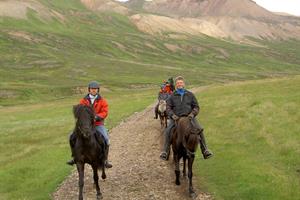 Horse riding tour