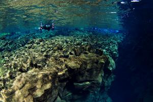 The clear water offers up to 100 meters of underwater visability 