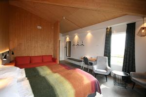 Double / twin room with mountain view